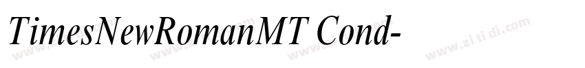 TimesNewRomanMT Cond字体转换